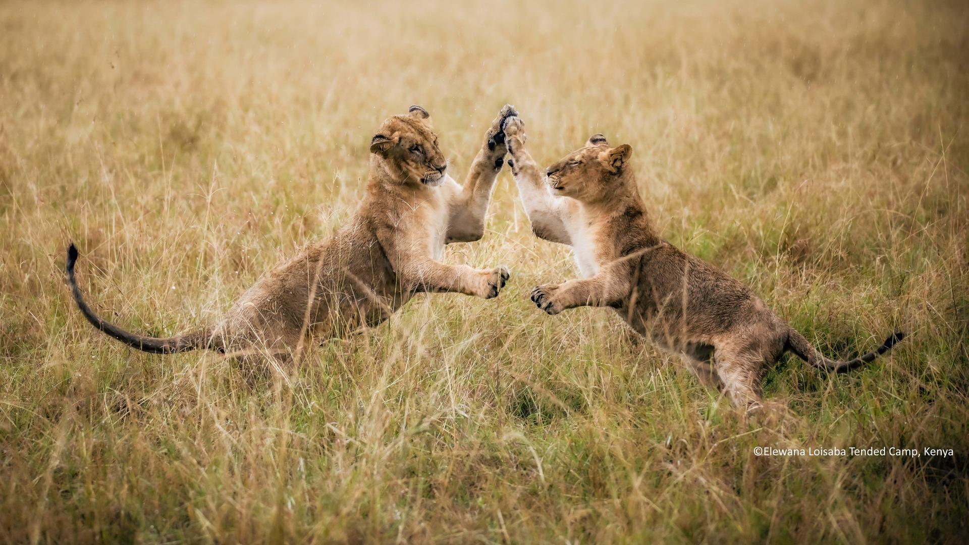 Kenya