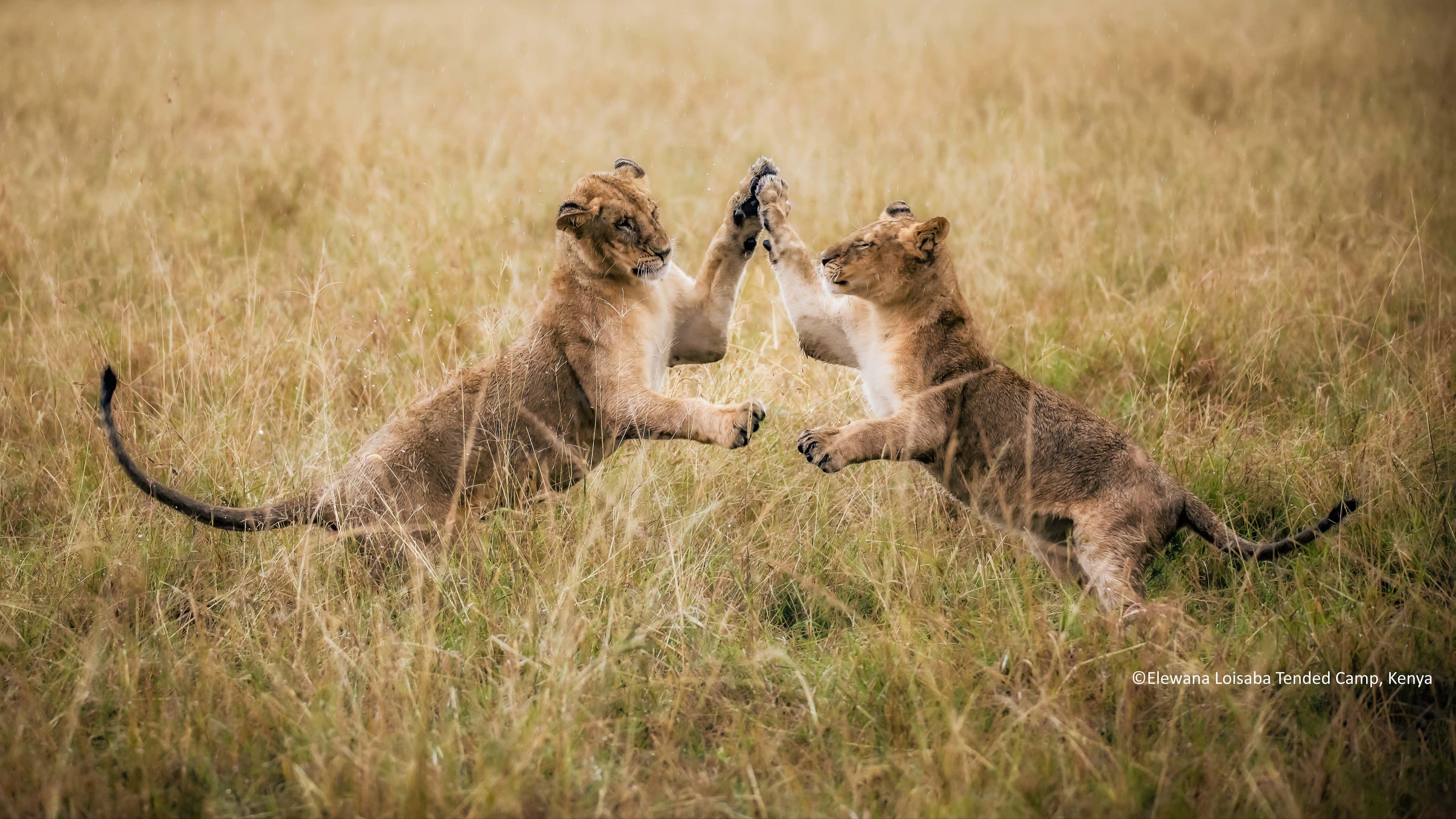 Kenya