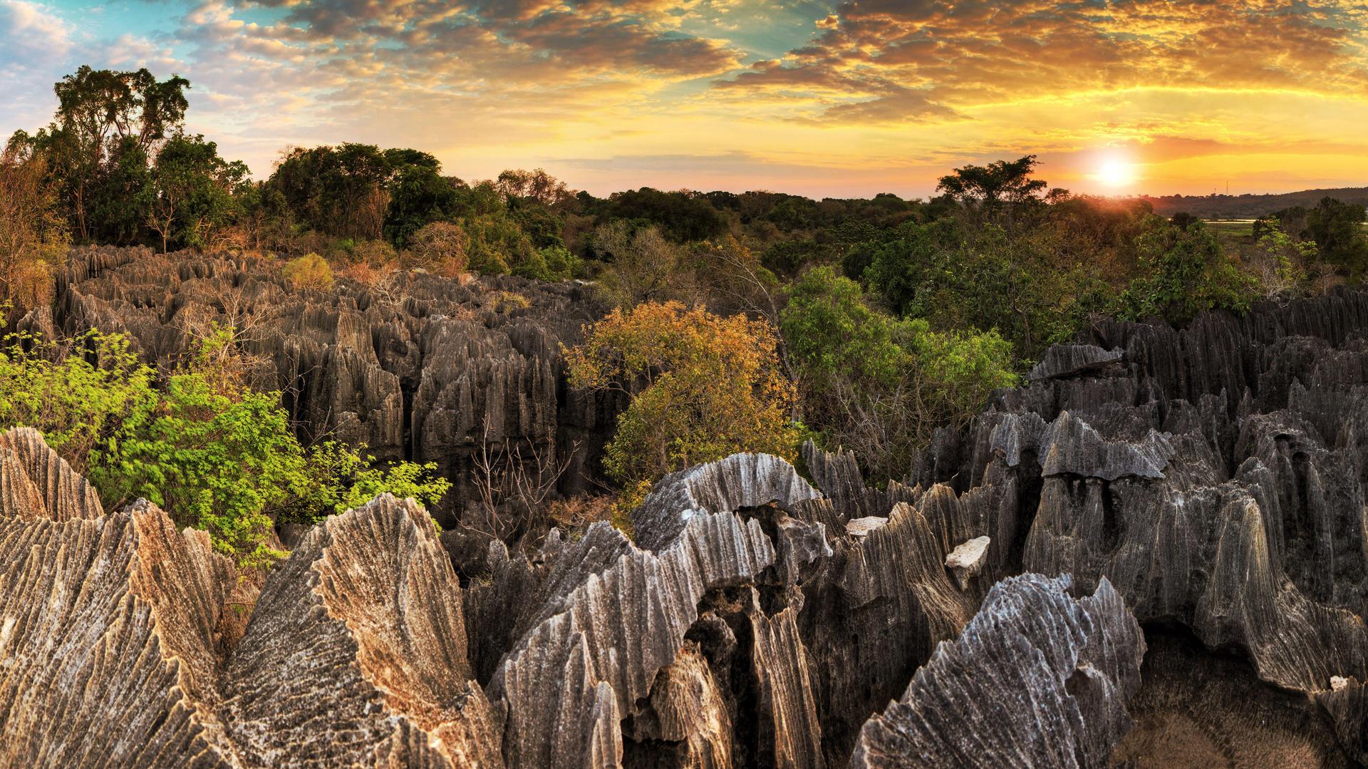 11-Day West Madagascar : Tsiribihina, Tsingy & Baobabs
