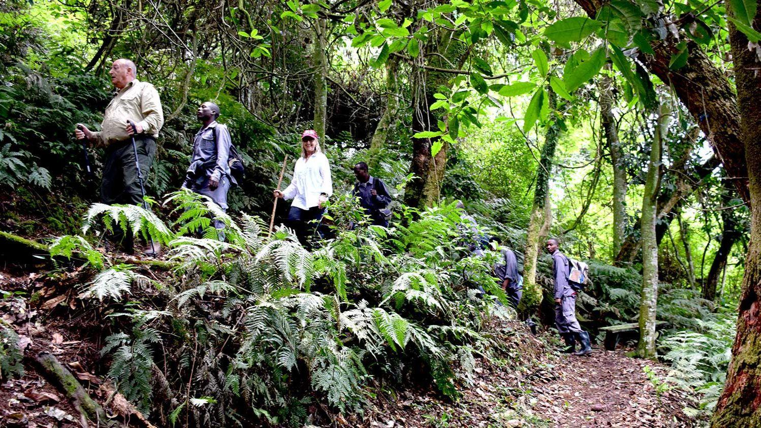 8-Day Uganda Adventure From Rhinos to Gorillas