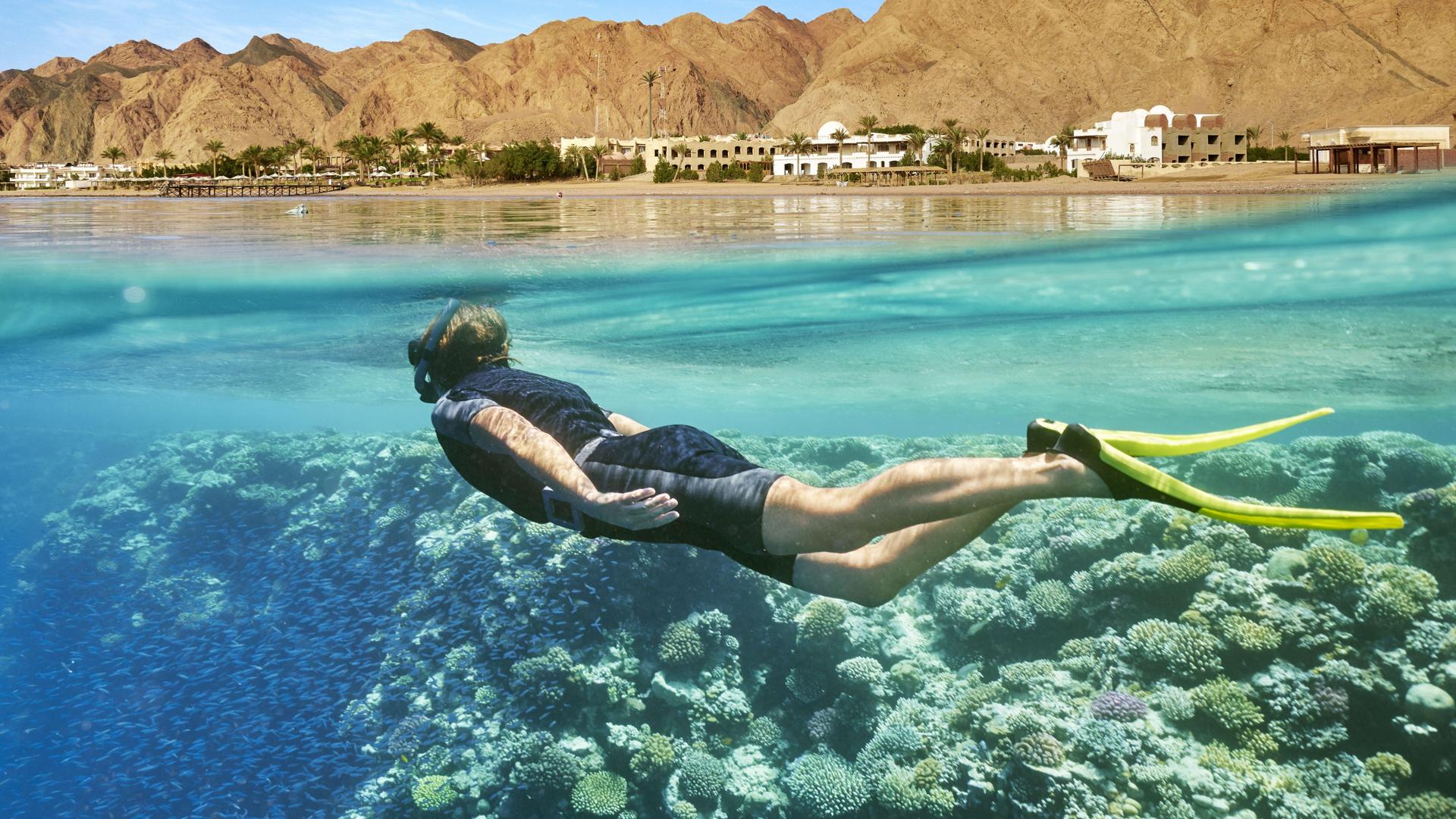 Ras Mohamed National Park Snorkeling Tour – Where the Red Sea's Three Gulfs Meet