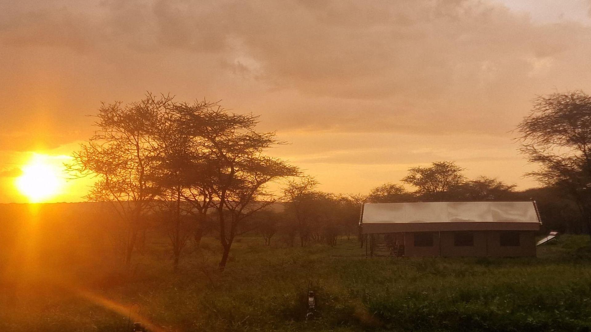 Serengeti Wanderlust: Viaggio Safari di Lusso di 8 Giorni Attraverso l’Anima Selvaggia della Tanzania