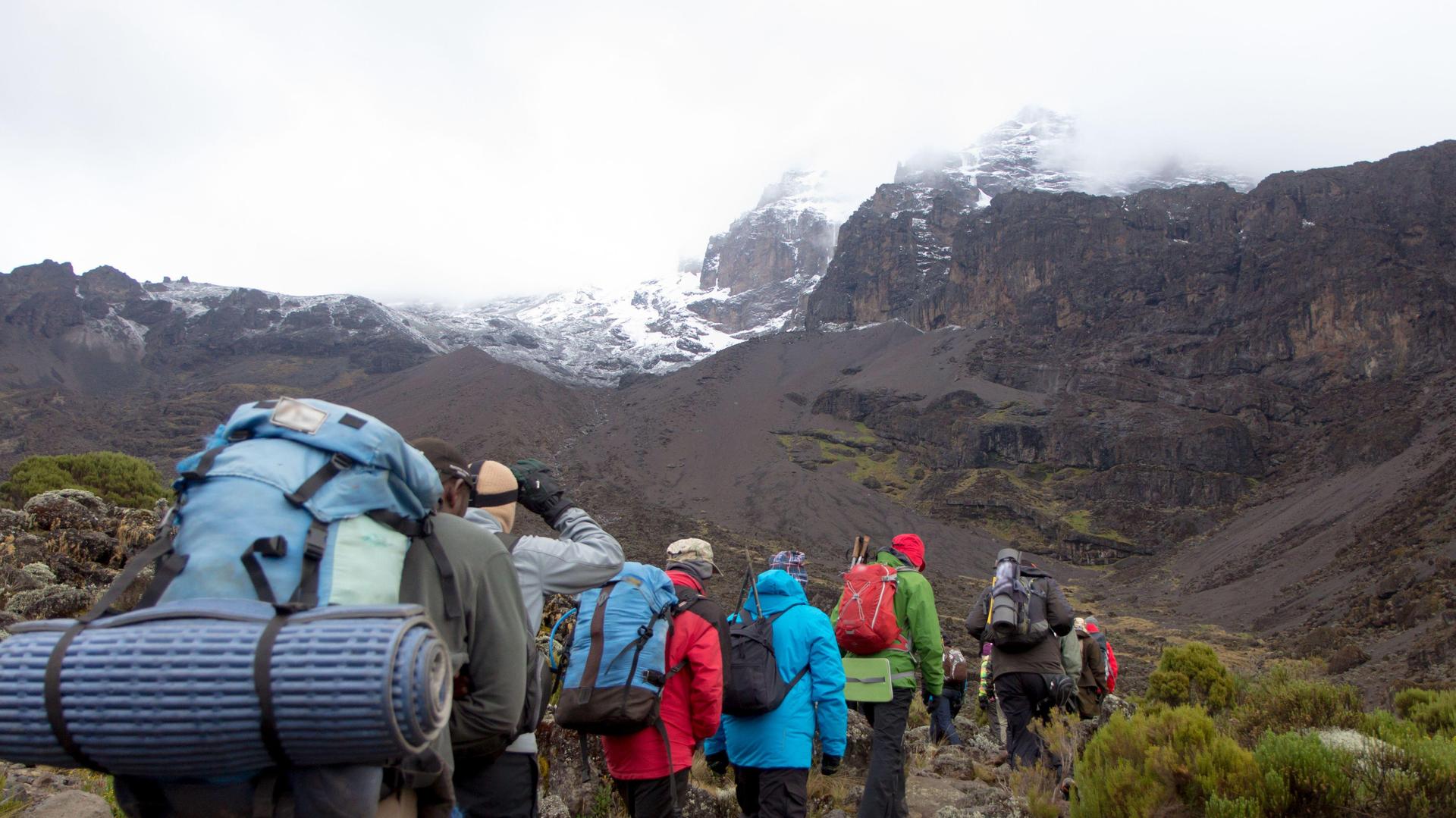 Trekking di un giorno da Machame Gate al Machame Camp (richiede ottima forma fisica)