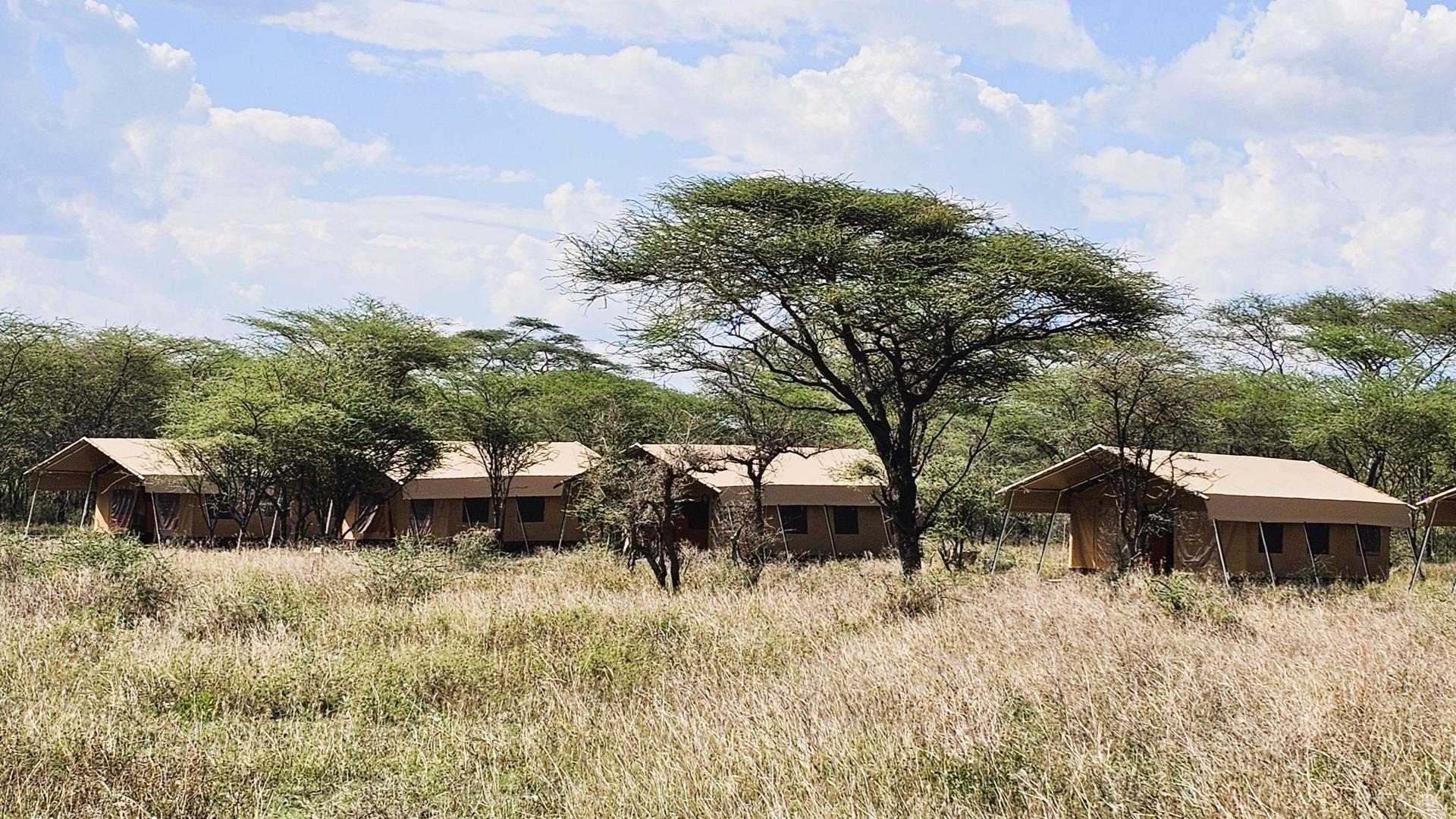 Six Senses Safari – Avventura di lusso in Tanzania di 7 giorni