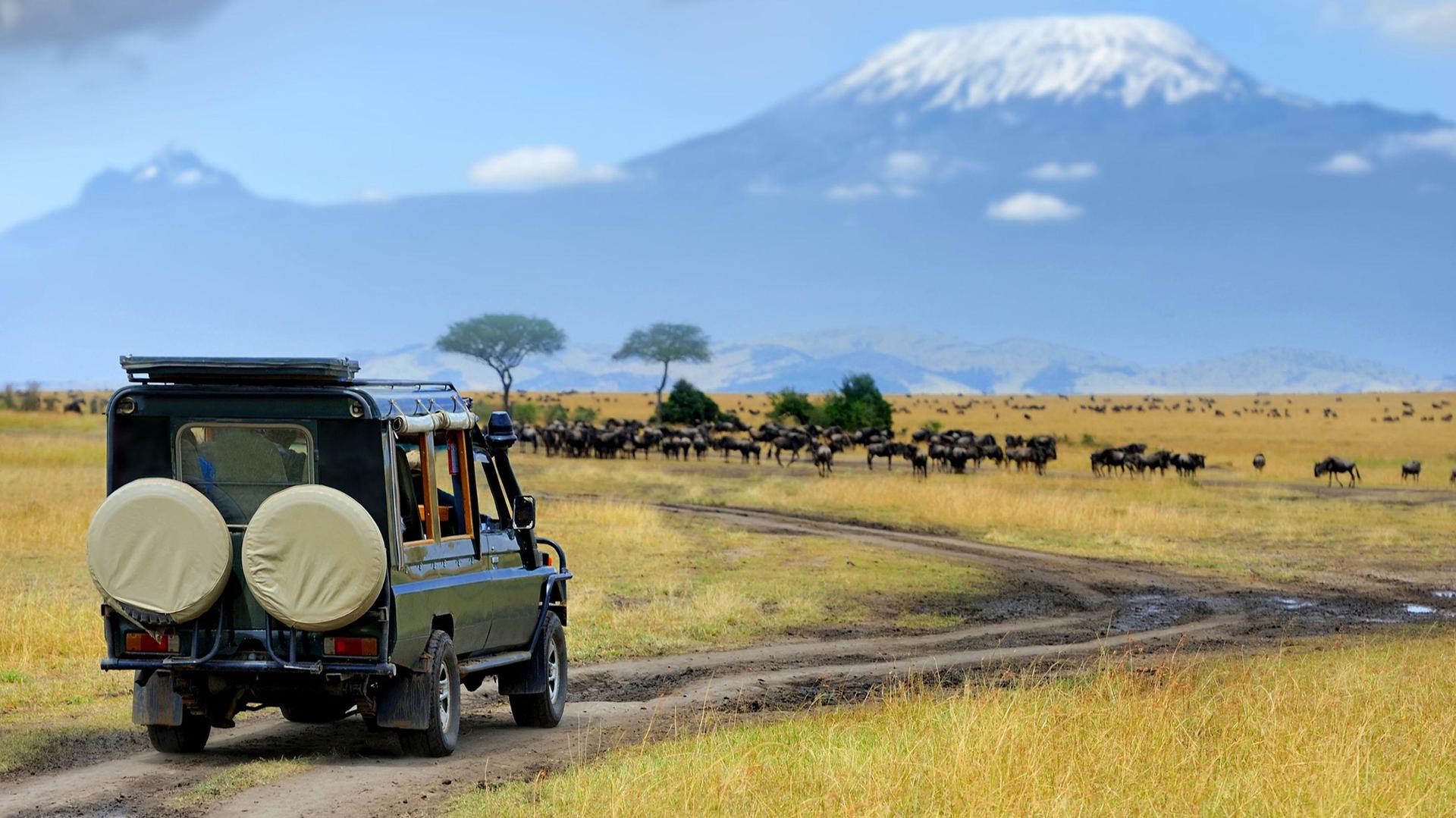 Safari Kenya d’Autore: Taita Hills, Amboseli e Tsavo Est tra Giganti e Orizzonti Infiniti