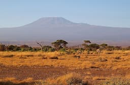 the-great-rift-valley-a-journey-through-kenyas-spectacular-landscapes