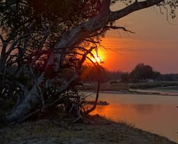 exploring-the-untouched-beauty-of-zambias-lower-zambezi-national-park