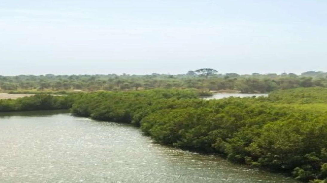 Gambia