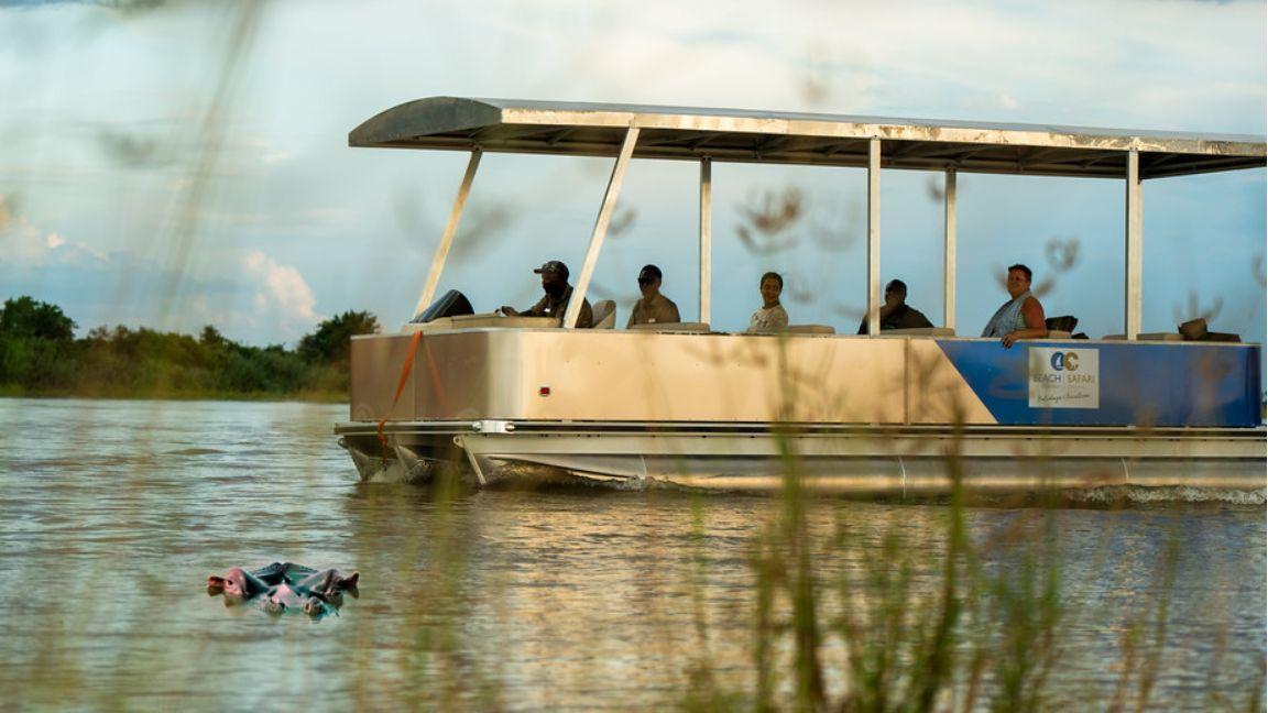 2 days Luxury safari in Nyerere National Park from Zanzibar