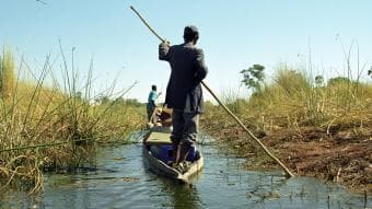 Safari Mokoro di 1 Giorno nel Delta dell’Okavango