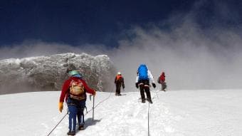 Avventura di 12 giorni: ascesa al Rwenzori, tracciamento degli scimpanzé ed esperienza del caffè