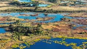 Safari di 3 Giorni in Campeggio Selvaggio nel Delta dell’Okavango – Mokoro, Passeggiata nel Bush e Game Drive – Campeggio Economico, Pensione Completa, Safari di Gruppo**