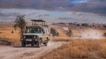 Safari Privato di 3 Giorni – Riserva di Selous/Parco Nazionale Nyerere da Dar es Salaam