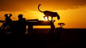4-Day Deep in the Kalahari – A Wild Camping Adventure - Sharing Safari