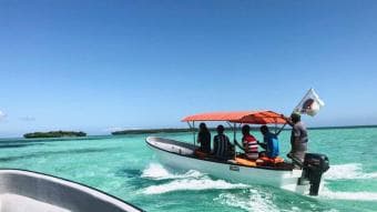 Safari dal mare alla savana