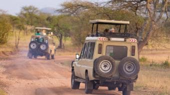 Safari di un Giorno nel Mikumi National Park da Zanzibar