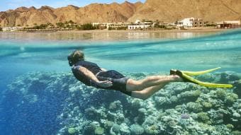 SHARM EL SHEIKH: SNORKELING A RAS MOHAMED