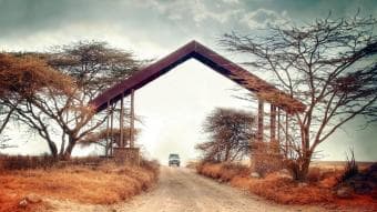 Avventura in Tanzania – Spedizione Safari di 8 Giorni