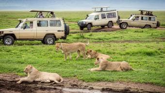 La bellezza della Tanzania – Avventura safari di 7 giorni